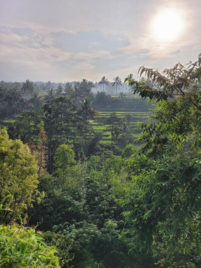 Les Rizieres Lombok - Tetebatu Hotel Exterior foto