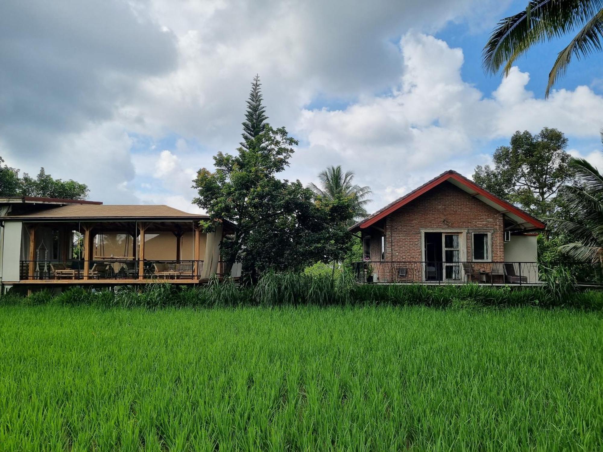 Les Rizieres Lombok - Tetebatu Hotel Exterior foto