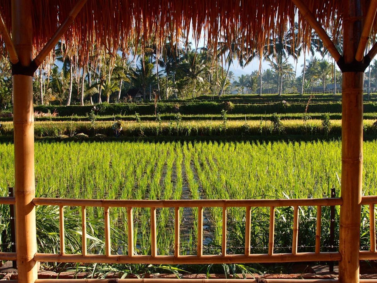 Les Rizieres Lombok - Tetebatu Hotel Exterior foto